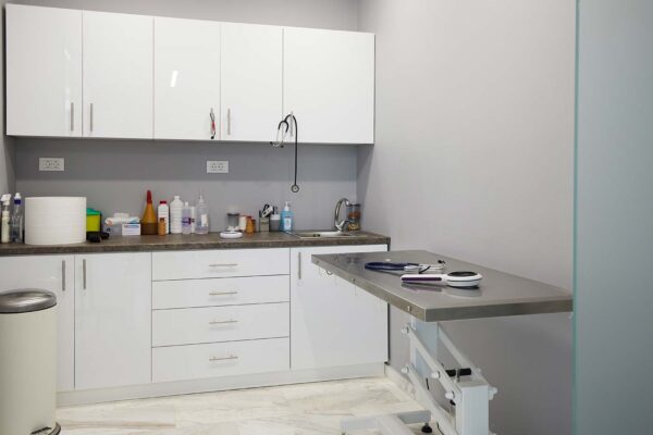 YOURVETCLINIC0542