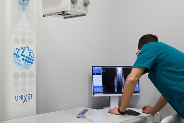 YOURVETCLINIC0583