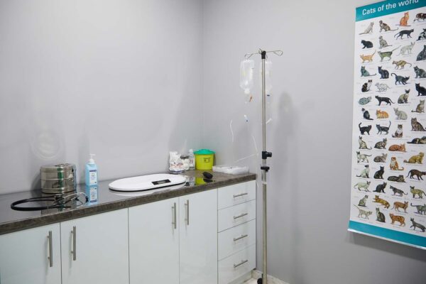 YOURVETCLINIC0593