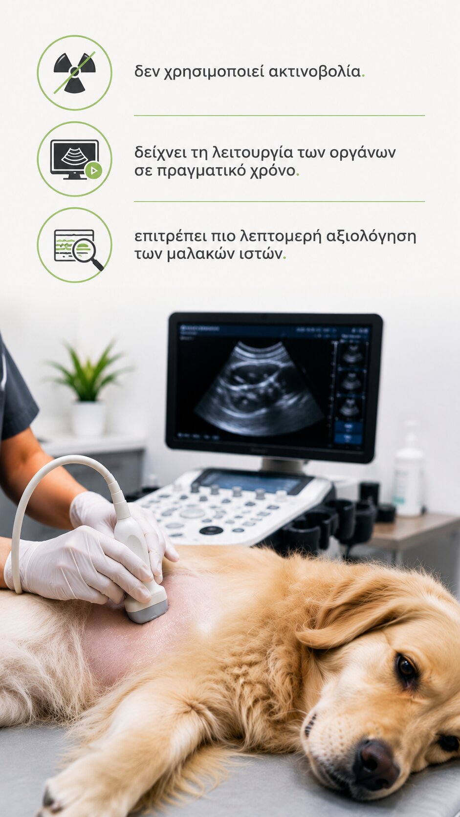 τι ειναι ο υπερηχος σκυλου